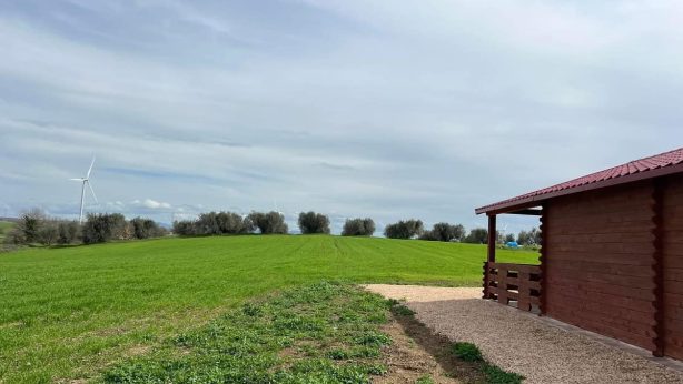 inaugurazione dell'uliveto